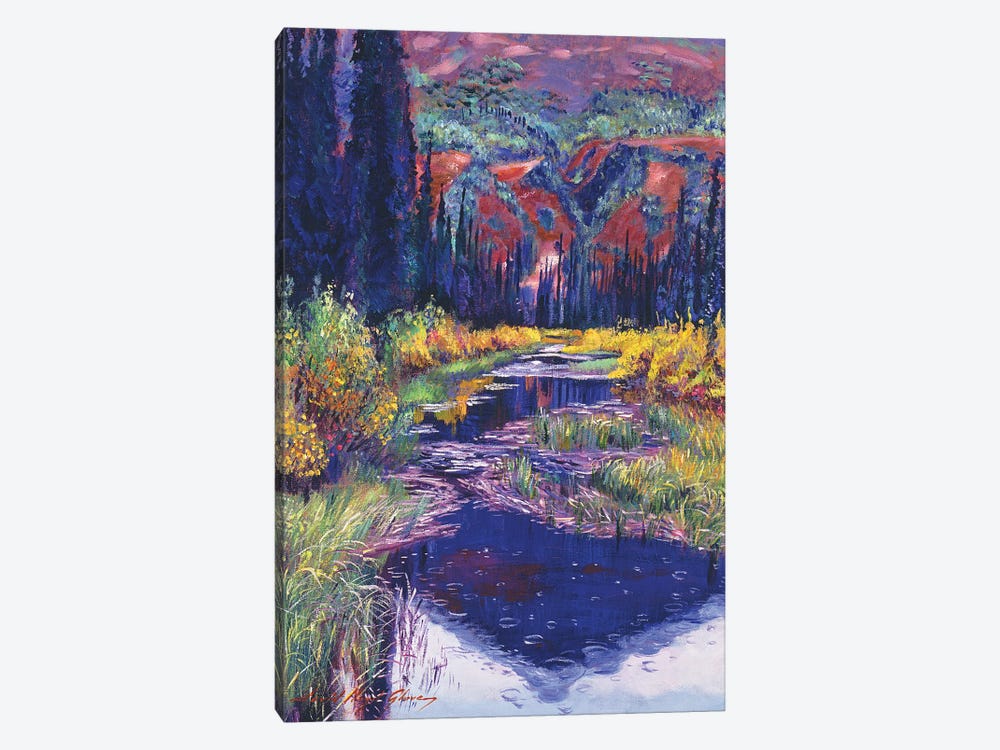 Raindrop Pond by David Lloyd Glover 1-piece Canvas Art Print