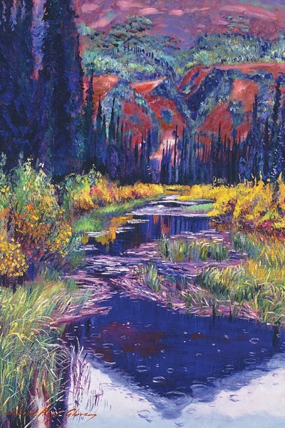 David Lloyd Glover: Raindrop Pond by David Lloyd Glover