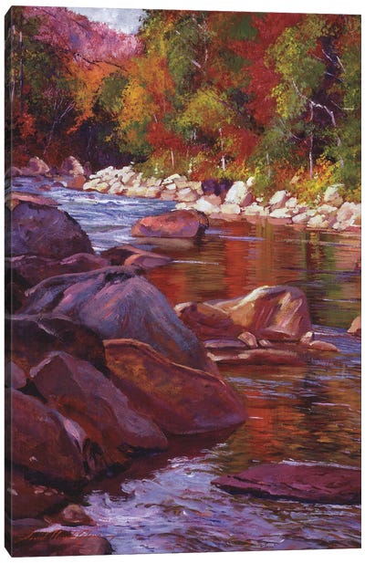 Vermont River Canvas Art Print - David Lloyd Glover