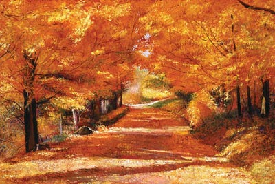 The Yellow Leaf Road by David Lloyd Glover framed wall art