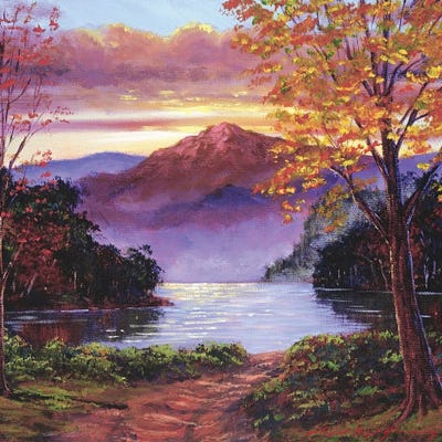 Road To The Lakeshore by David Lloyd Glover canvas print