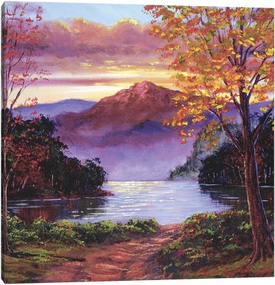 Road To The Lakeshore Canvas Art Print - David Lloyd Glover