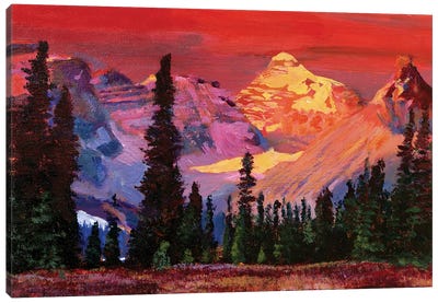 Rocky Mountain Colors Canvas Art Print - David Lloyd Glover