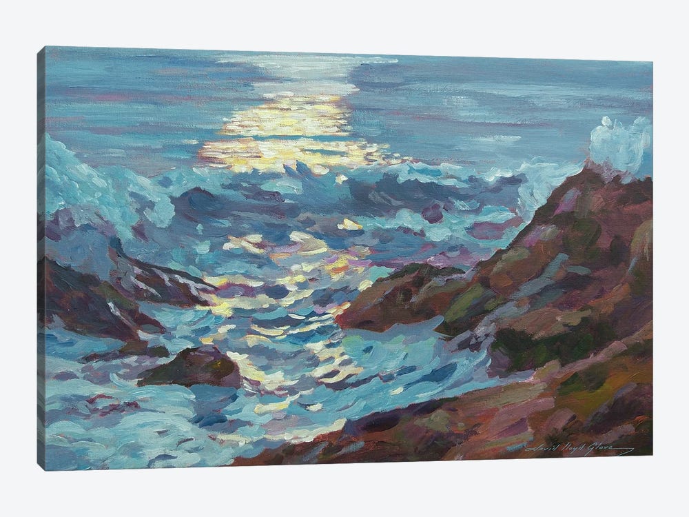 Silver Moonlight by David Lloyd Glover 1-piece Canvas Artwork