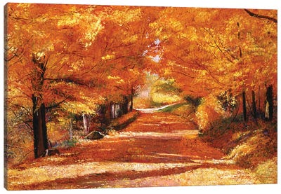 The Yellow Leaf Road Canvas Art Print - David Lloyd Glover