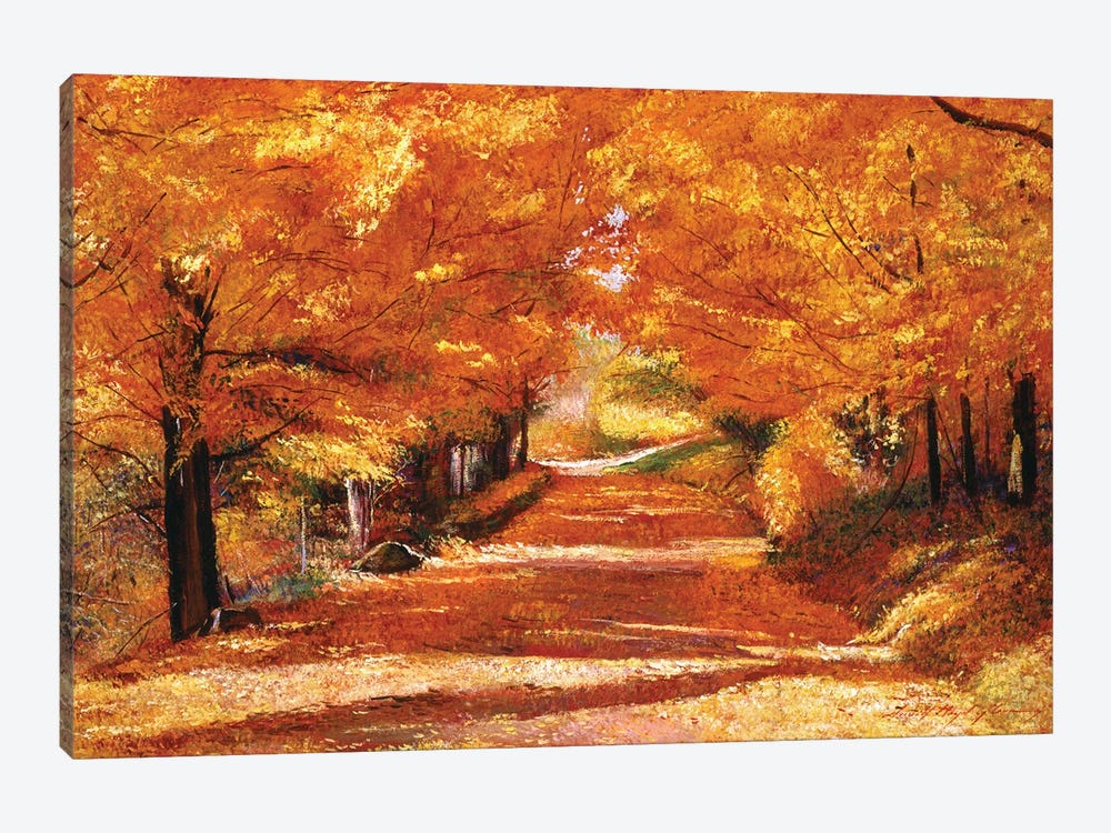 The Yellow Leaf Road by David Lloyd Glover 1-piece Canvas Print