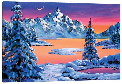 Snow Fantasy Canvas Art Print - David Lloyd Glover