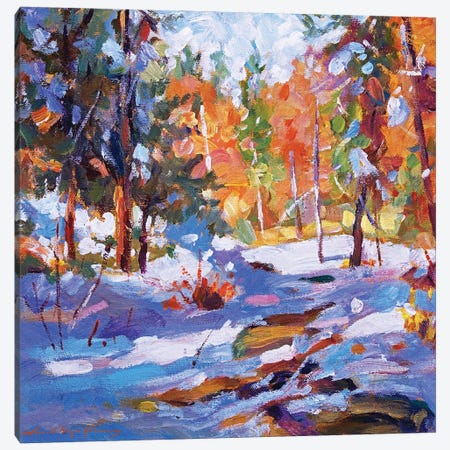 Snow Fell At The Creek Plein Air Canvas Print #DLG162} by David Lloyd Glover Canvas Wall Art
