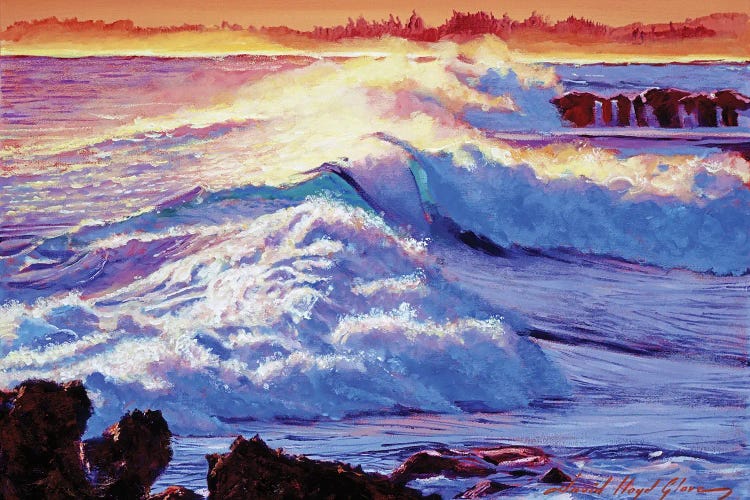 Rolling Ocean Surf by David Lloyd Glover wall art