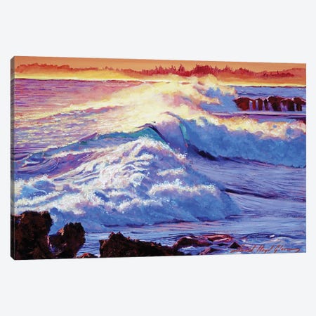 Rolling Ocean Surf Canvas Print #DLG164} by David Lloyd Glover Canvas Art Print