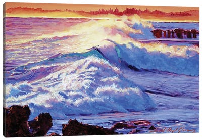 Rolling Ocean Surf Canvas Art Print - David Lloyd Glover