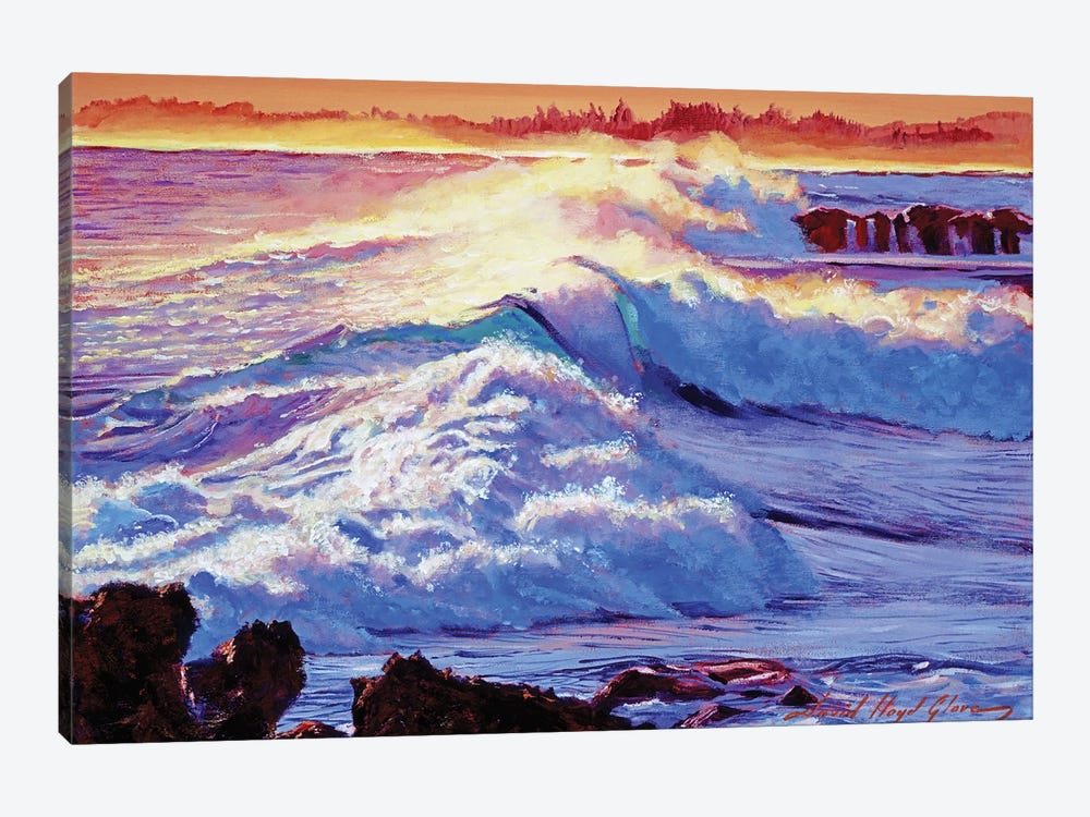 Rolling Ocean Surf by David Lloyd Glover 1-piece Canvas Art