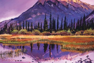 Soft Shades Of Reflections by David Lloyd Glover canvas print