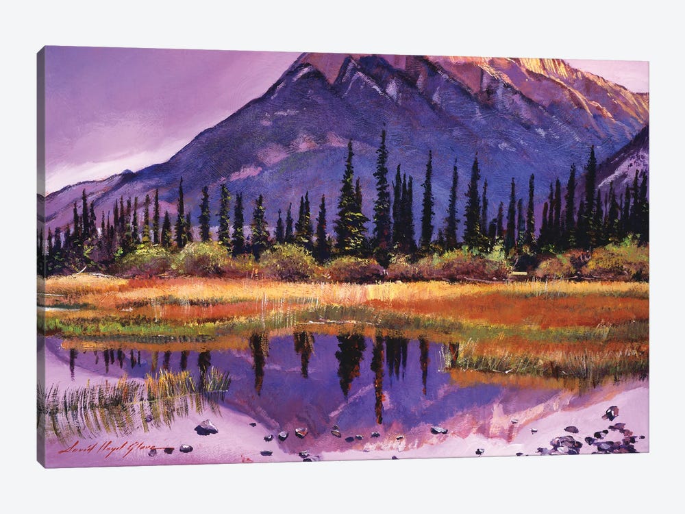 Soft Shades Of Reflections by David Lloyd Glover 1-piece Canvas Print