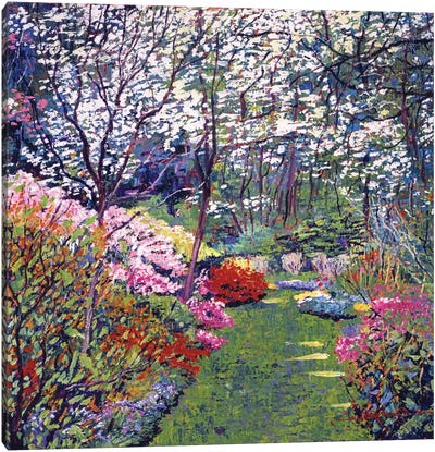 Spring Park Impressions Canvas Art Print - David Lloyd Glover