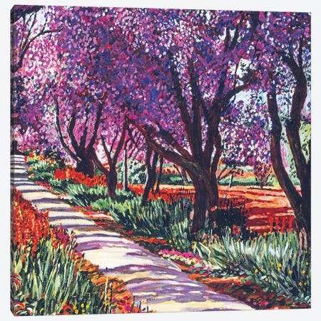 Spring Path Canvas Print #DLG174} by David Lloyd Glover Canvas Art