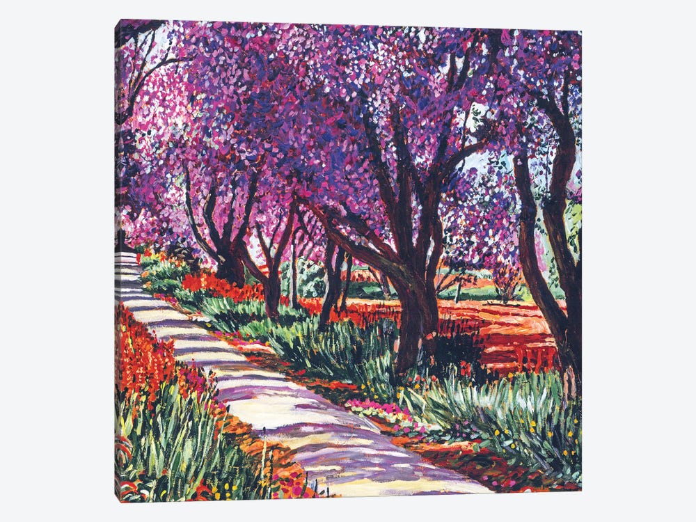 Spring Path by David Lloyd Glover 1-piece Canvas Art Print