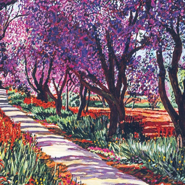 City Parks: Spring Path by David Lloyd Glover