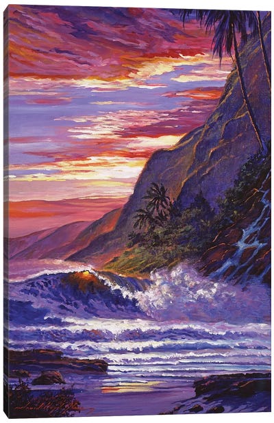 Paradise Beach Hawaii Canvas Art Print - Tropical Beach Art
