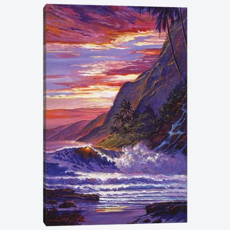 Paradise Beach Hawaii Canvas Print #DLG17} by David Lloyd Glover Canvas Art