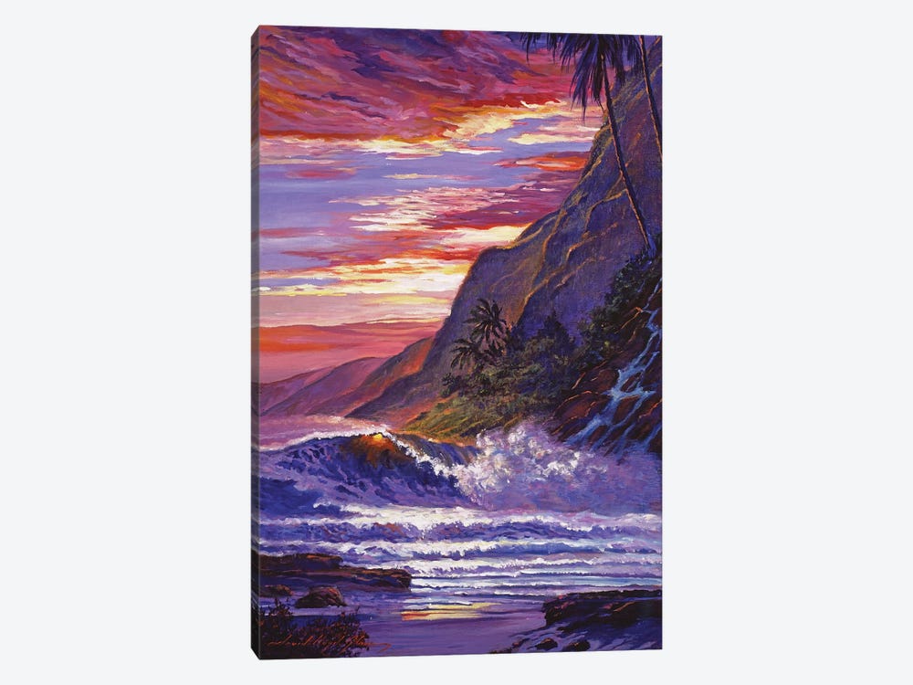 Paradise Beach Hawaii by David Lloyd Glover 1-piece Art Print