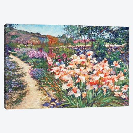 Provence Spring Irises Canvas Print #DLG181} by David Lloyd Glover Canvas Art