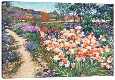 Provence Spring Irises Canvas Art Print - David Lloyd Glover