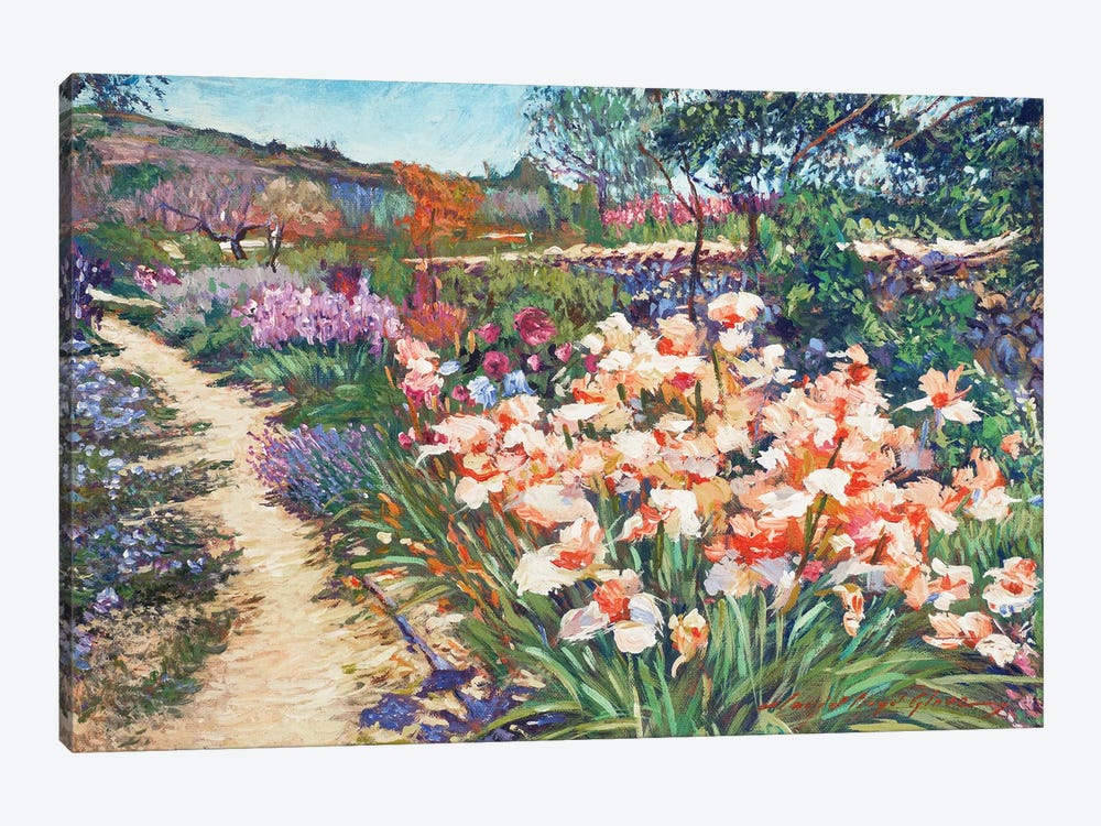 Provence Spring Irises by David Lloyd Glover 1-piece Art Print