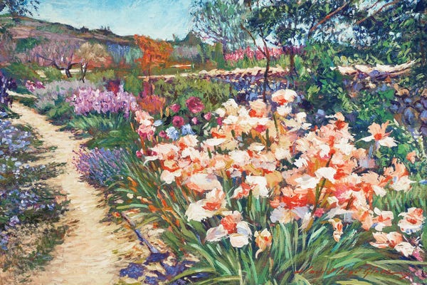 Irises: Provence Spring Irises by David Lloyd Glover