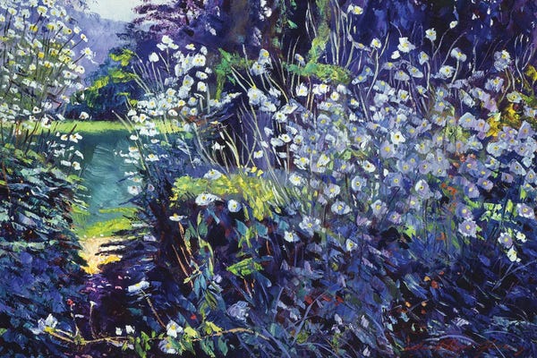 Tangled White Flowers