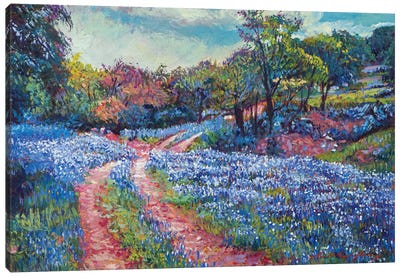 Texas Bluebonnets Canvas Art Print - Garden & Floral Landscape Art