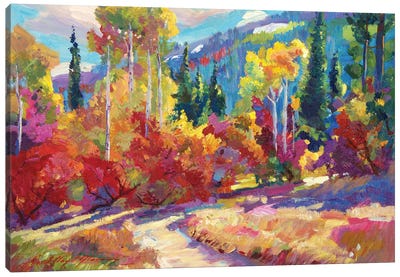The Colors Of New Hampshire Canvas Art Print - David Lloyd Glover