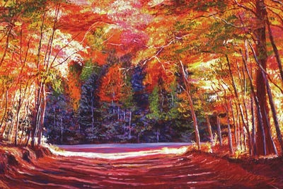 The End Of The Road by David Lloyd Glover framed wall art