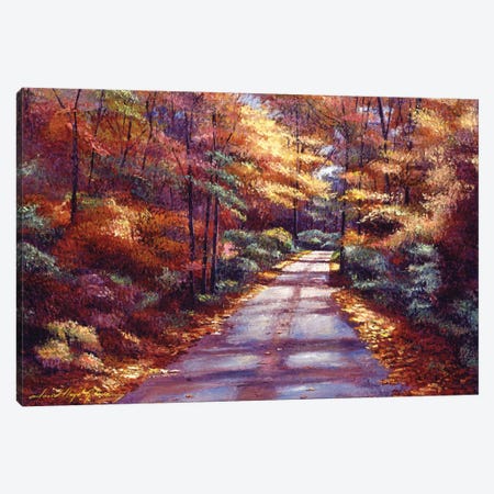 The Glory Of Autumn Canvas Print #DLG198} by David Lloyd Glover Canvas Art Print