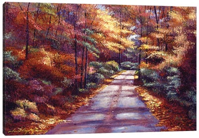 The Glory Of Autumn Canvas Art Print - David Lloyd Glover