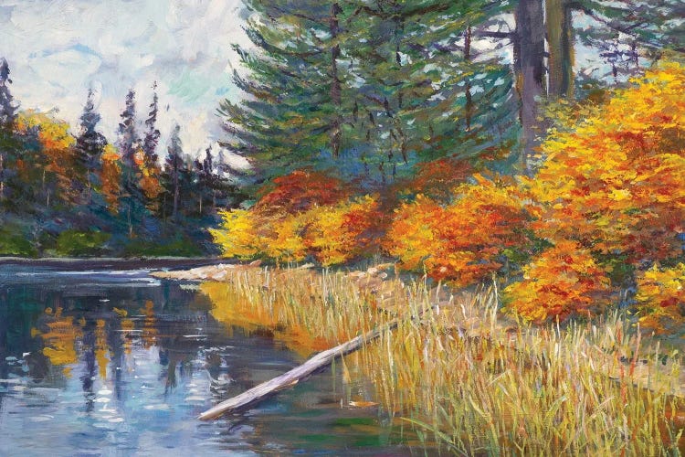 Lakes Edge by David Lloyd Glover wall art