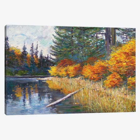 Lakes Edge Canvas Print #DLG199} by David Lloyd Glover Canvas Art Print