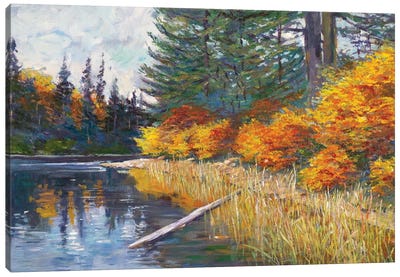 Lakes Edge Canvas Art Print - David Lloyd Glover