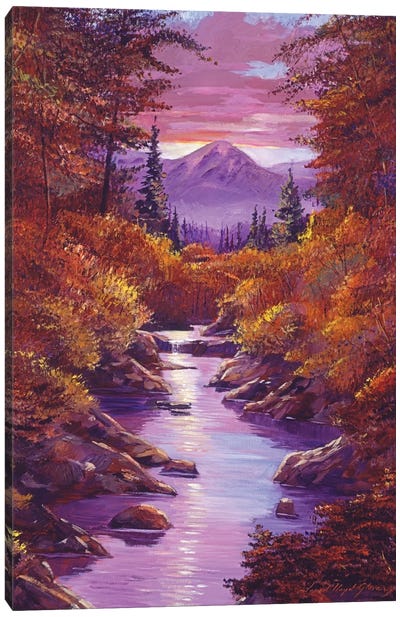 Quiet Autumn Stream Canvas Art Print - David Lloyd Glover