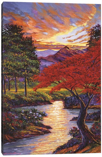The Old Red Maple Tree Canvas Art Print - David Lloyd Glover