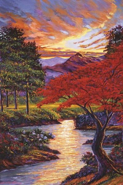 David Lloyd Glover: The Old Red Maple Tree by David Lloyd Glover