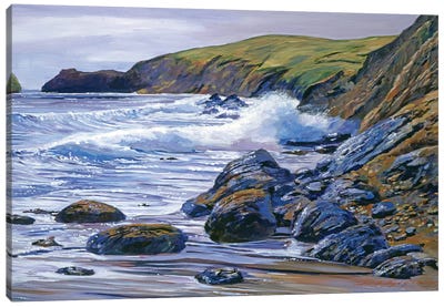 The Sparkling Pacific Ocean Canvas Art Print - David Lloyd Glover