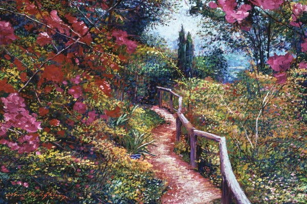 Bougainvillea: Tuscan Bougainvillea by David Lloyd Glover