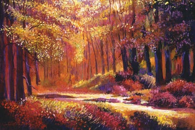 Paintbox Forest by David Lloyd Glover canvas print