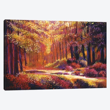 Paintbox Forest Canvas Print #DLG213} by David Lloyd Glover Canvas Wall Art
