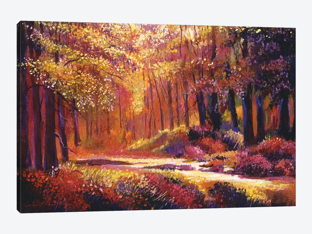 Paintbox Forest by David Lloyd Glover 1-piece Canvas Art