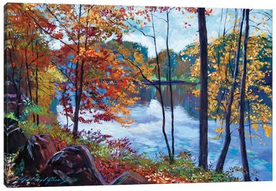 View Across The Lake Canvas Art Print - David Lloyd Glover