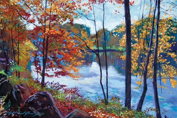 Plein Air Paintings: View Across The Lake by David Lloyd Glover