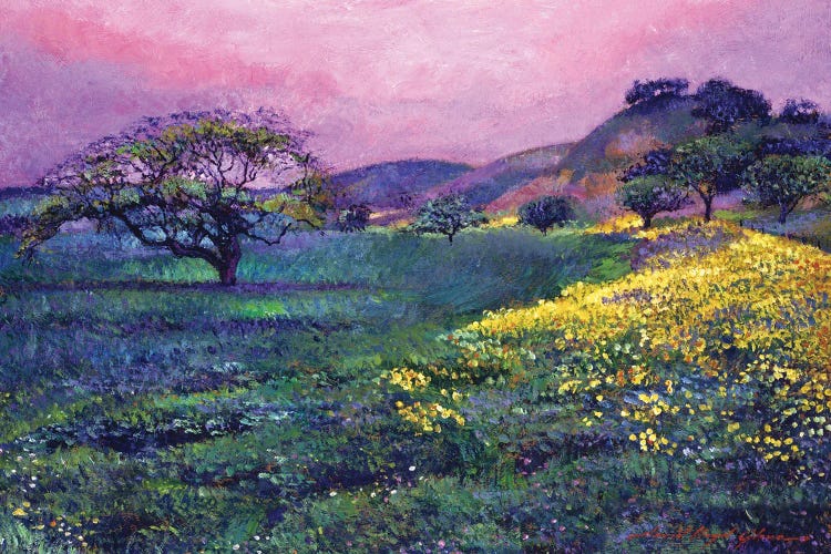Wildflower Fields by David Lloyd Glover wall art