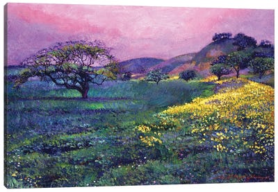 Wildflower Fields Canvas Art Print - David Lloyd Glover